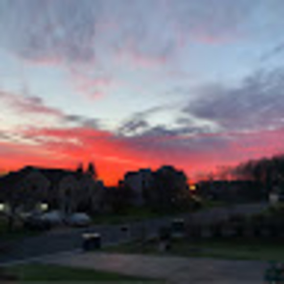 Meet your Posher, Delaney - Picture 1 of 1